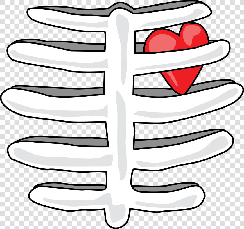 Rib Cage With Heart T shirt Find This At Digitaltshirtshop   Rib Cage Clip Art  HD Png DownloadTransparent PNG