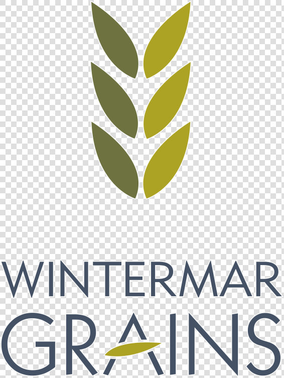 White Grain Png   Grain Logo Png  Transparent PngTransparent PNG