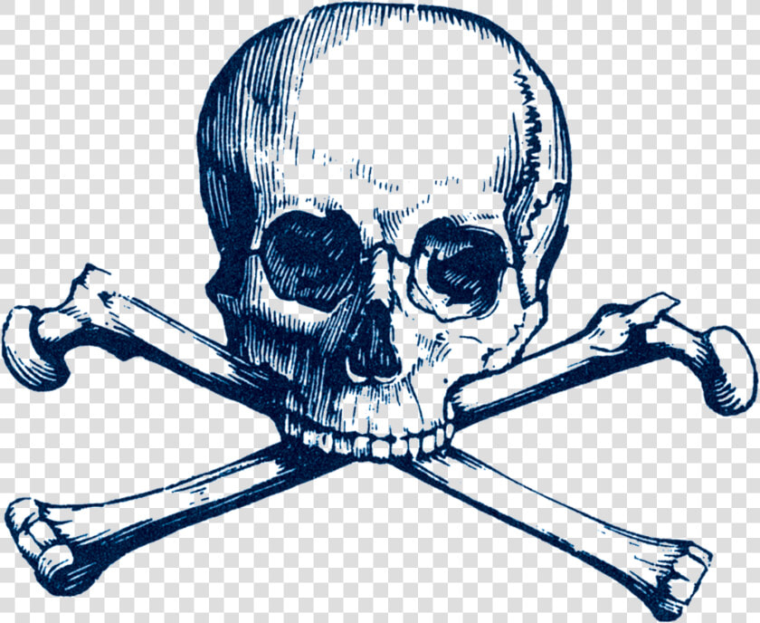 Skull Crossbones Jolly Roger Clipart   Png Download   Skull And Bones Png  Transparent PngTransparent PNG