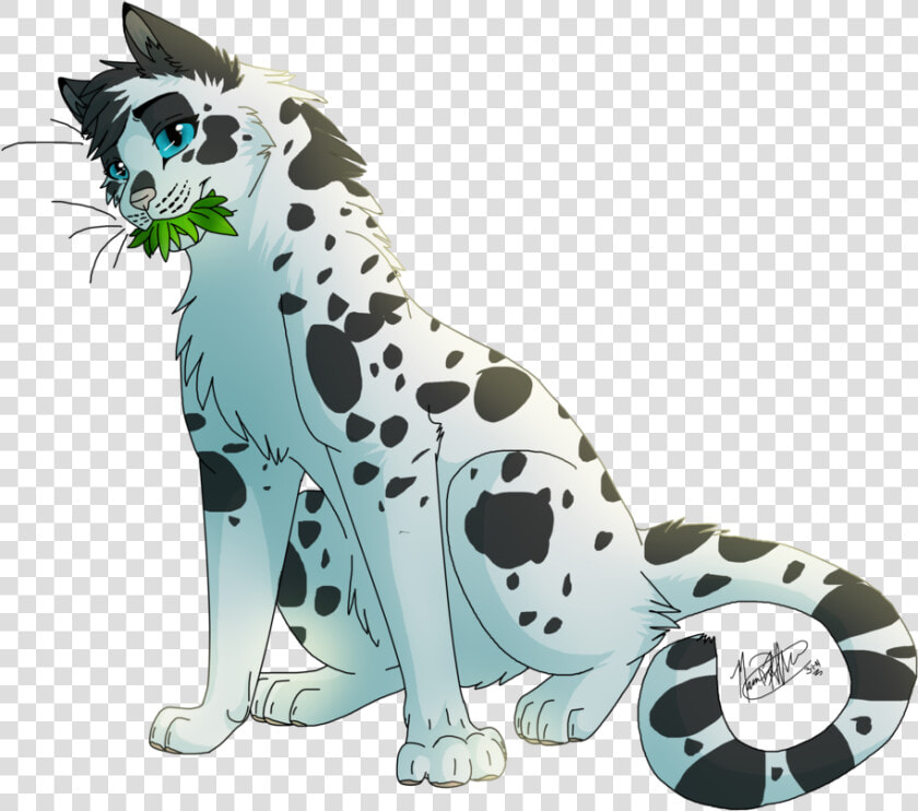 Warrior Cats Medicine Cat Oc  HD Png DownloadTransparent PNG