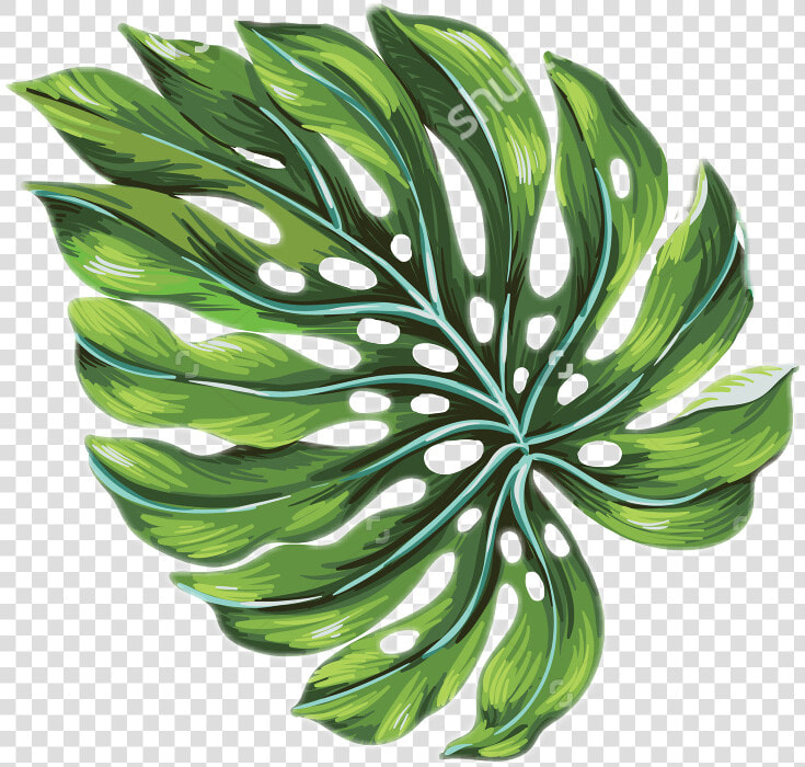 Palm Leaf Palmtrees Palmtree Freetoedit   Tropical Palm Leaf Transparent  HD Png DownloadTransparent PNG