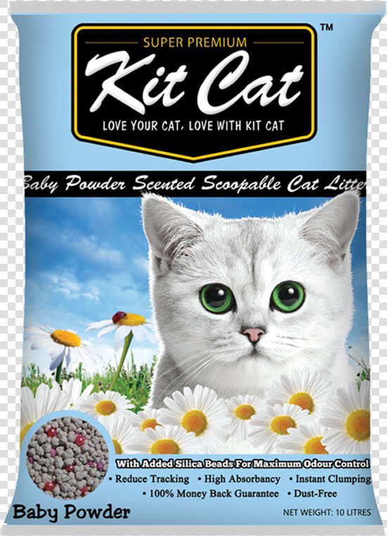 Kit Kat Cat Litter  HD Png DownloadTransparent PNG