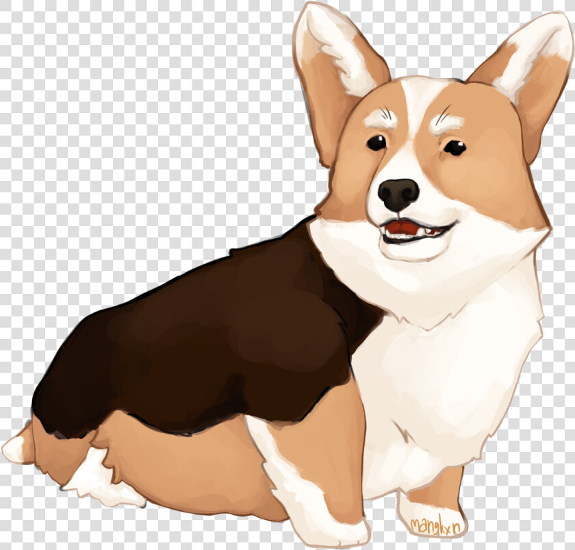 Pembroke Welsh Corgi  HD Png DownloadTransparent PNG