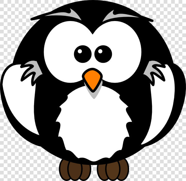 Black Owl Clipart Clip Art Freeuse Library Black Owl   Owl Bird Cartoon Drawing  HD Png DownloadTransparent PNG