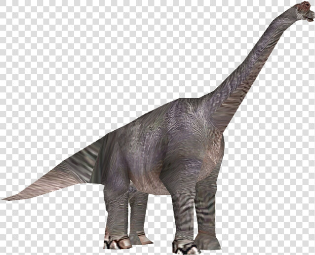 Dinosaur   Brachiosaurus Transparent Png  Png DownloadTransparent PNG