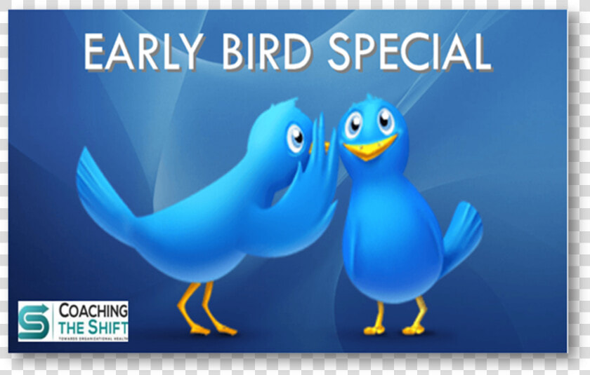 Teamcoaching   Opleiding   Icf   Certificatie   Wordt   Early Bird Massage Special  HD Png DownloadTransparent PNG