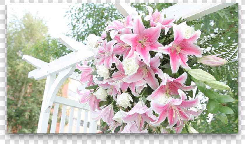 Lillies On An Arch   Lily  HD Png DownloadTransparent PNG