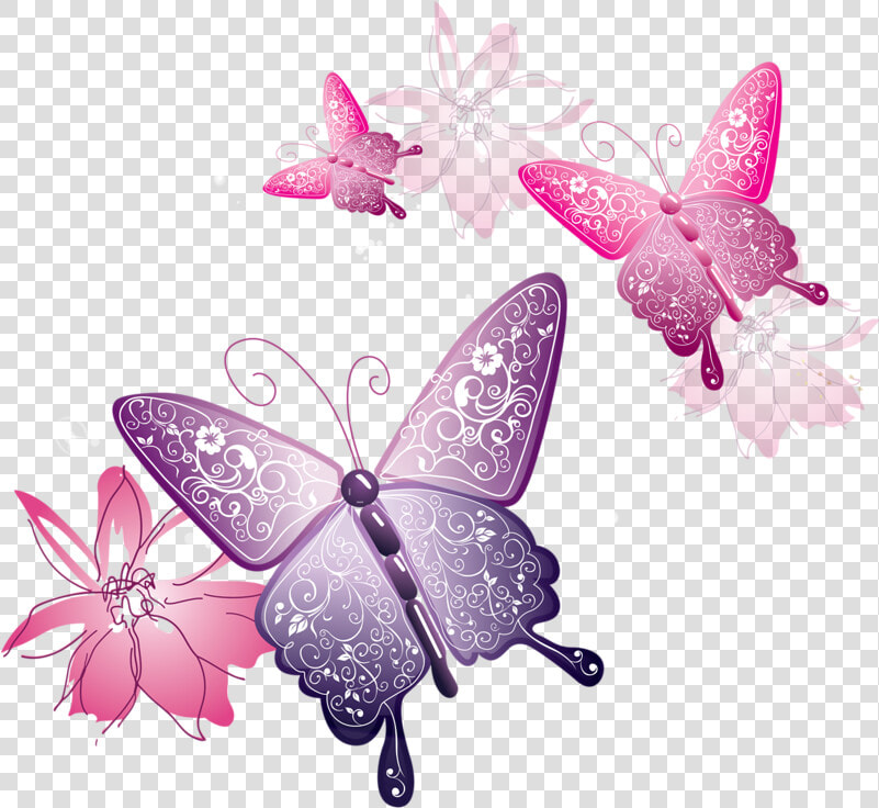 Pink Butterfly Png   Transparent Background Pink Butterfly Png  Png DownloadTransparent PNG