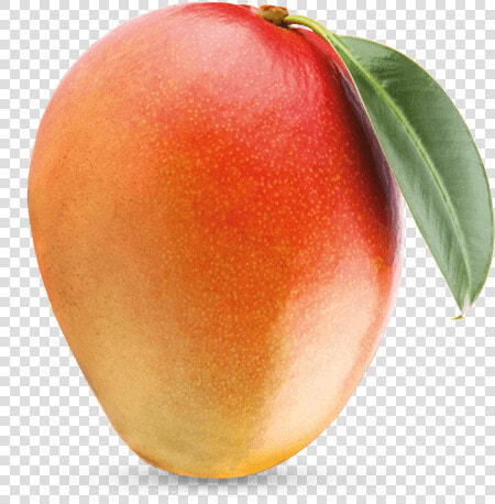 Front View Mango   Mango With Invisible Background  HD Png DownloadTransparent PNG