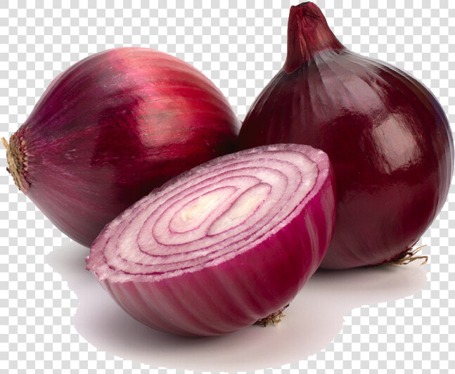 Red Onion Png Clipart   Red Onion Png  Transparent PngTransparent PNG