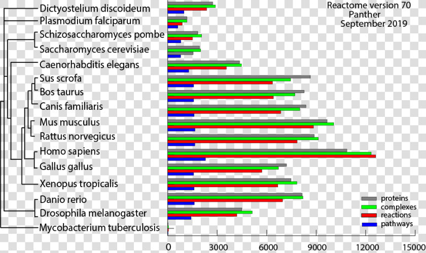 Stats V69  HD Png DownloadTransparent PNG