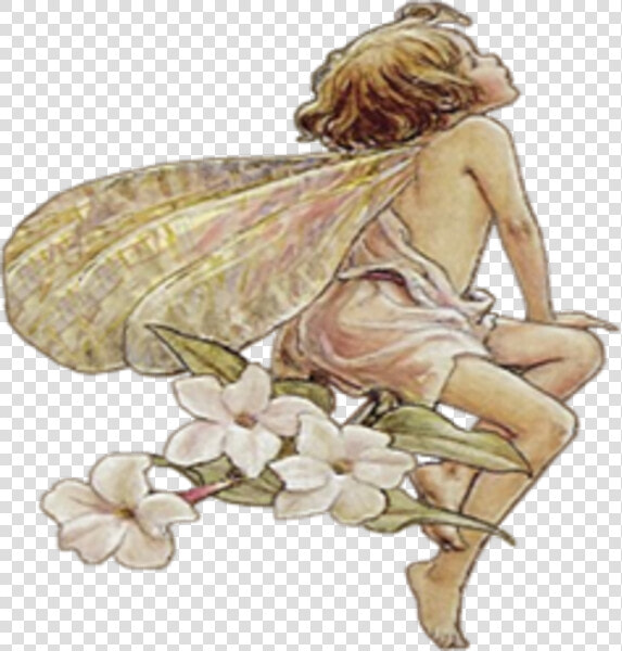 Transparent Fairy Wings Clipart   Public Domain Flower Fairy  HD Png DownloadTransparent PNG