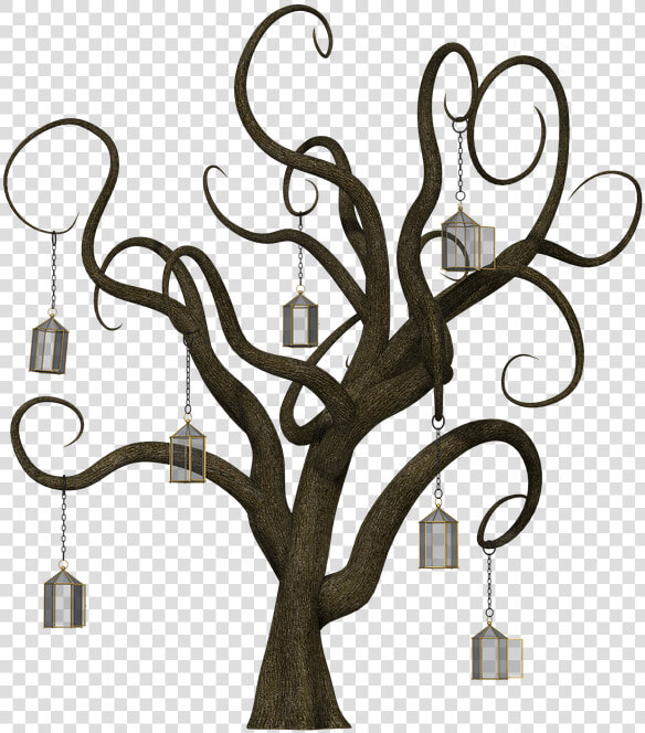 Arbol Cuentos   ต้นไม้ ที่ ไม่มี ใบ  HD Png DownloadTransparent PNG