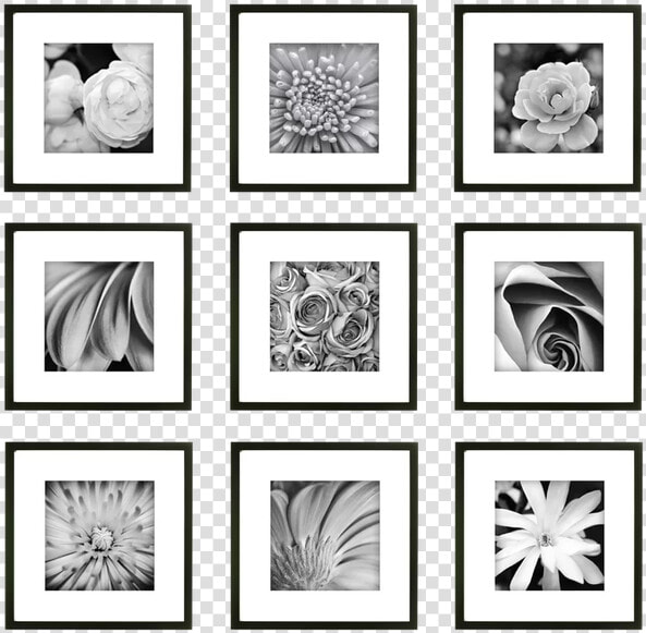 9 Frame Gallery Wall  HD Png DownloadTransparent PNG