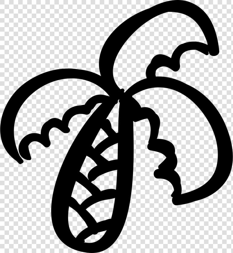 Tropical Palm Tree Outline   Palmera Contorno Png  Transparent PngTransparent PNG