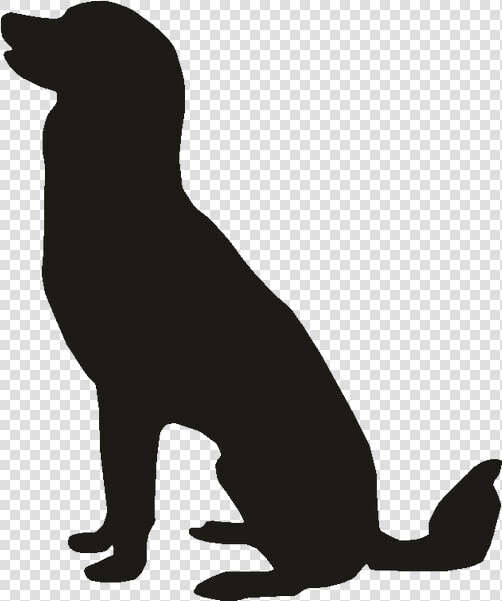 Pet Sitting Labrador Retriever Puppy Golden Retriever  HD Png DownloadTransparent PNG