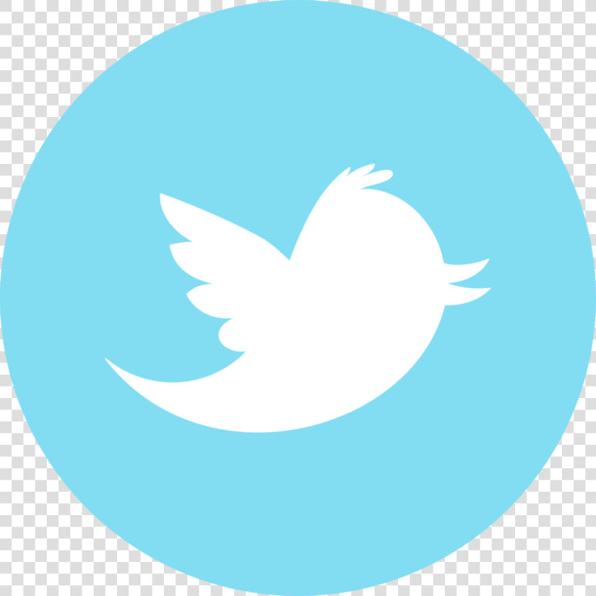 Twitter Logo For Youtube   Png Download   Social Media Icons Twitter  Transparent PngTransparent PNG