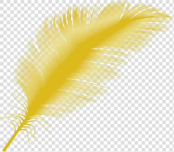 Yellow Feather Close up   Transparent Yellow Feather Png  Png DownloadTransparent PNG