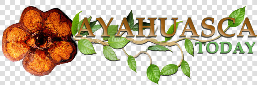 Ayahuasca Today Logo Large  HD Png DownloadTransparent PNG