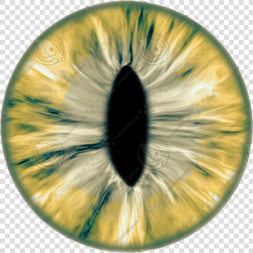 New 20 Eye Lens Png For Editing Eyes Lens Png Download   Eye Texture  Transparent PngTransparent PNG