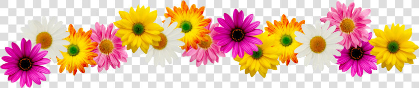 Spring Flower Border Clipart   Spring Flowers Clip Art Border  HD Png DownloadTransparent PNG