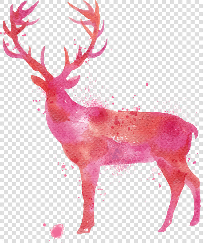 Deer Watercolor Painting Drawing   Animal Vector Deer  HD Png DownloadTransparent PNG