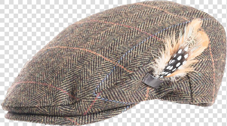 Transparent Feather Hat Png   Flat Cap With Feather  Png DownloadTransparent PNG