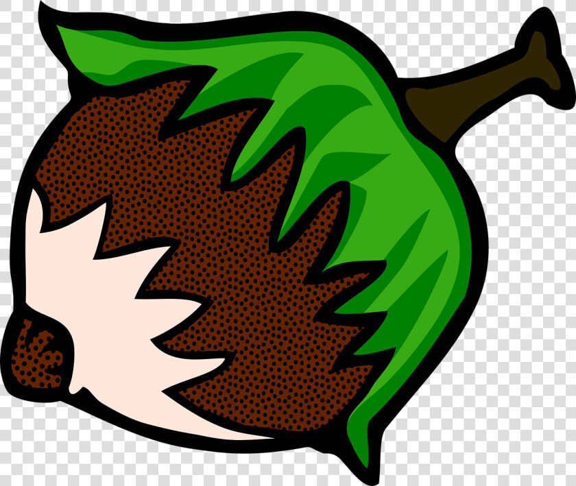 Hazelnut Clipart  HD Png DownloadTransparent PNG