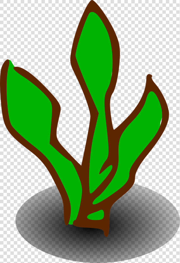 Transparent Bush Png   Clip Art Of Kelp  Png DownloadTransparent PNG