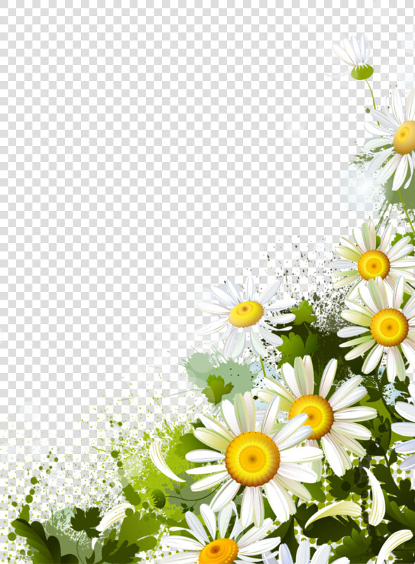 1 Kb  New   Imagenes Png De Flores Margaritas  Transparent PngTransparent PNG