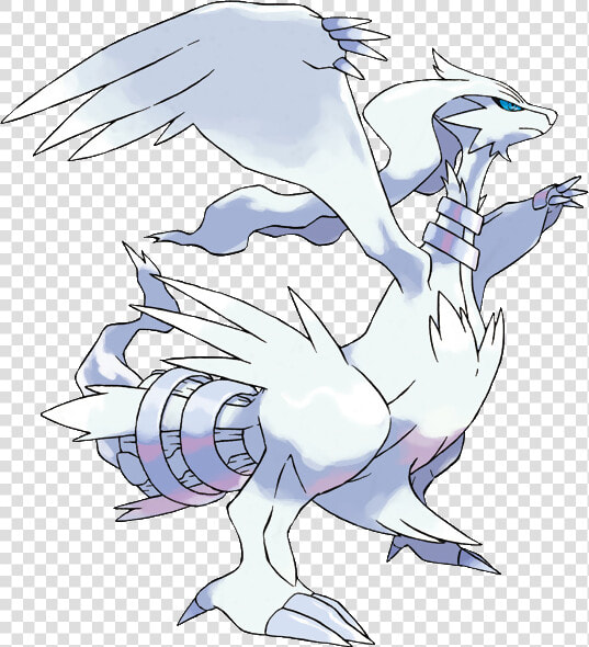 Reshiram Pokemon  HD Png DownloadTransparent PNG