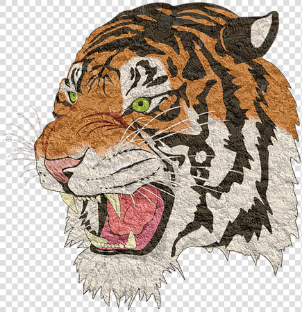 Tiger  Tiger Png  Lion  Animal  Cheetah  Transparent PngTransparent PNG