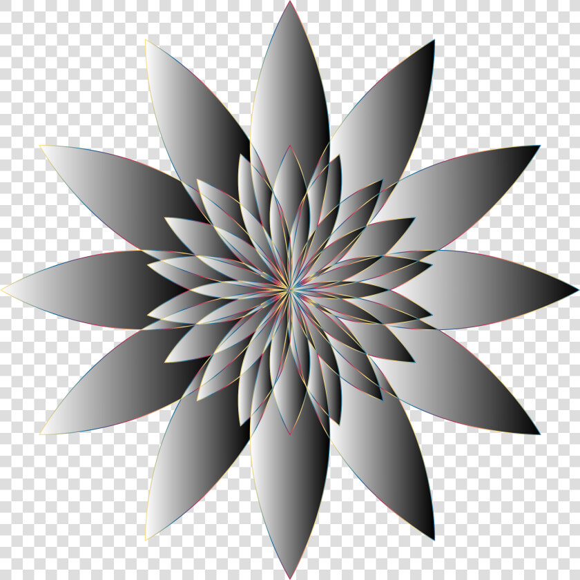 Chromatic Flower 16 No Background Clip Arts  HD Png DownloadTransparent PNG