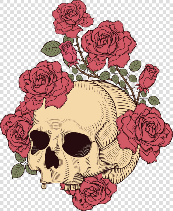 And Skull Rose Illustration T shirt Design Human Clipart   Skull And Rose Transparent  HD Png DownloadTransparent PNG