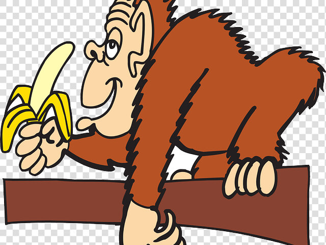 “cada Macaco No Seu Galho”   Ape Pictures Clip Art  HD Png DownloadTransparent PNG