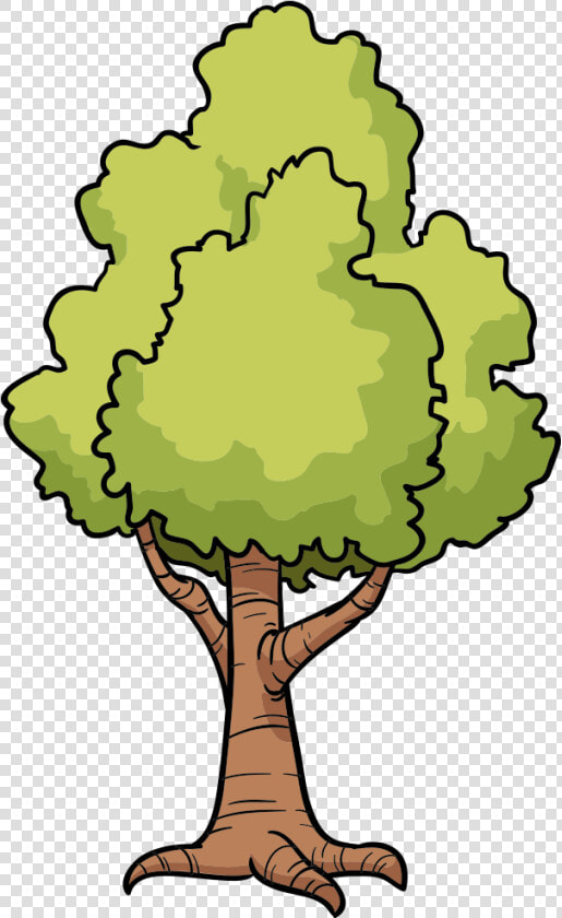 Cartoon Tree Drawing Clip Art   Drawing Cartoon Tree Trees  HD Png DownloadTransparent PNG