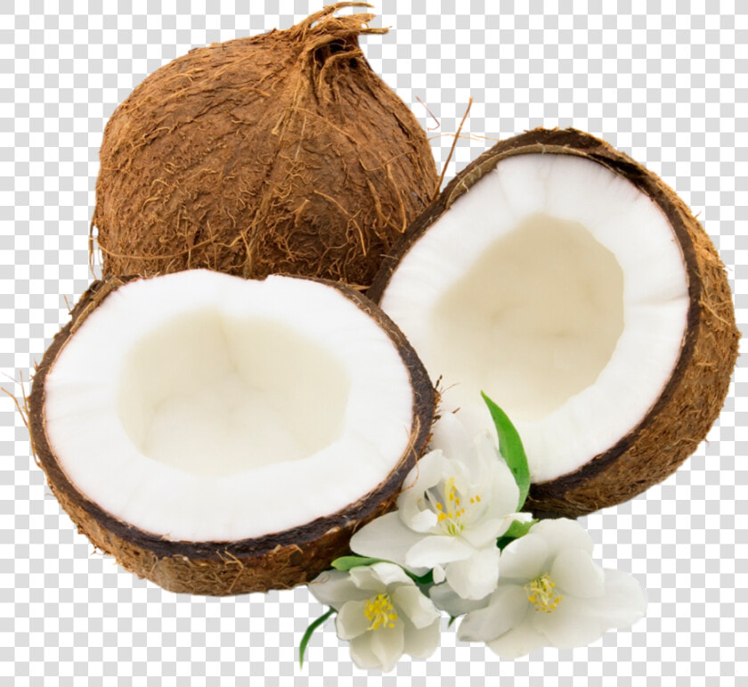 Transparent Coconut Clipart   Coconut Png  Png DownloadTransparent PNG