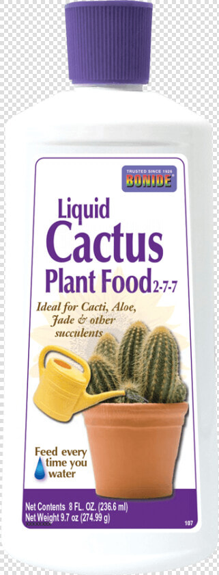 Cactus Food   Hedgehog Cactus  HD Png DownloadTransparent PNG