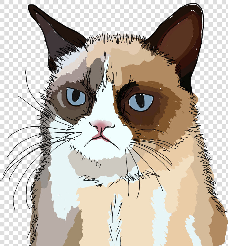  freetoedit  grumpy  cat  grumpycat  drawing   Grumpy Cat Nope  HD Png DownloadTransparent PNG