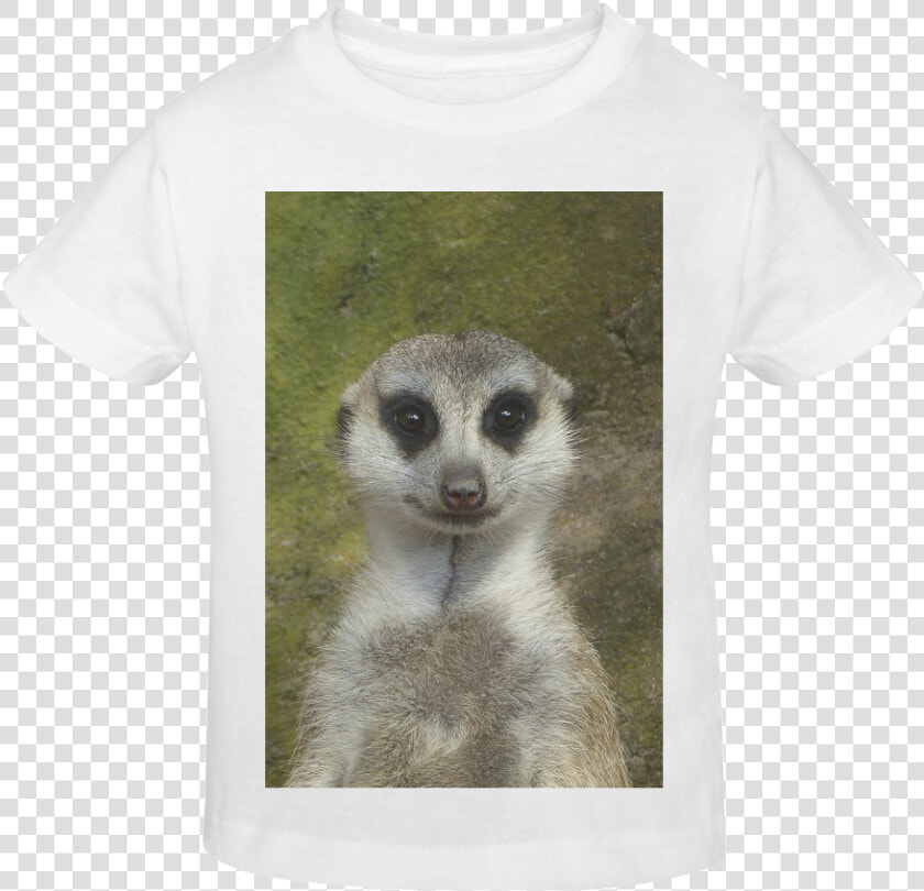 Funny Meerkat 001 Sunny Youth T shirt   Meerkat  HD Png DownloadTransparent PNG