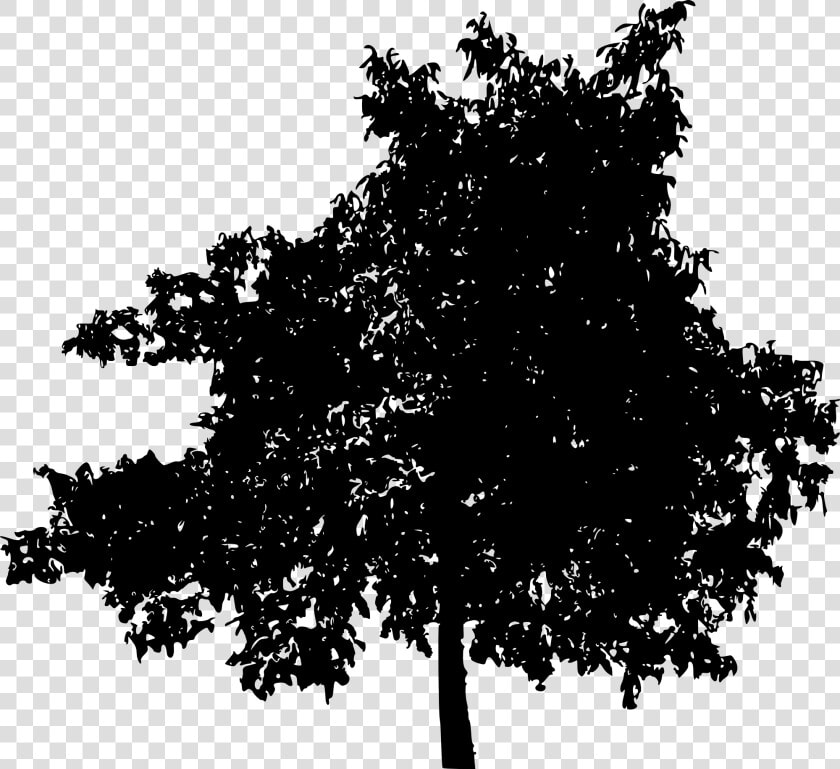 45 Tree Silhouettes Png Transparent Background   Deciduous Tree Silhouette Png  Png DownloadTransparent PNG