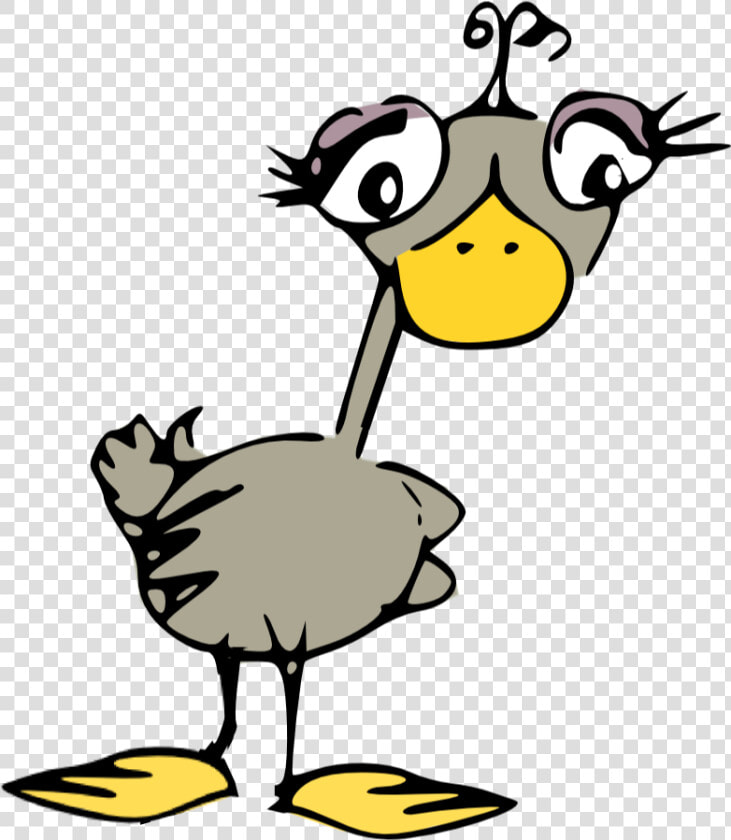 Scrap Bird Png Free   Silly Bird Clip Art  Transparent PngTransparent PNG