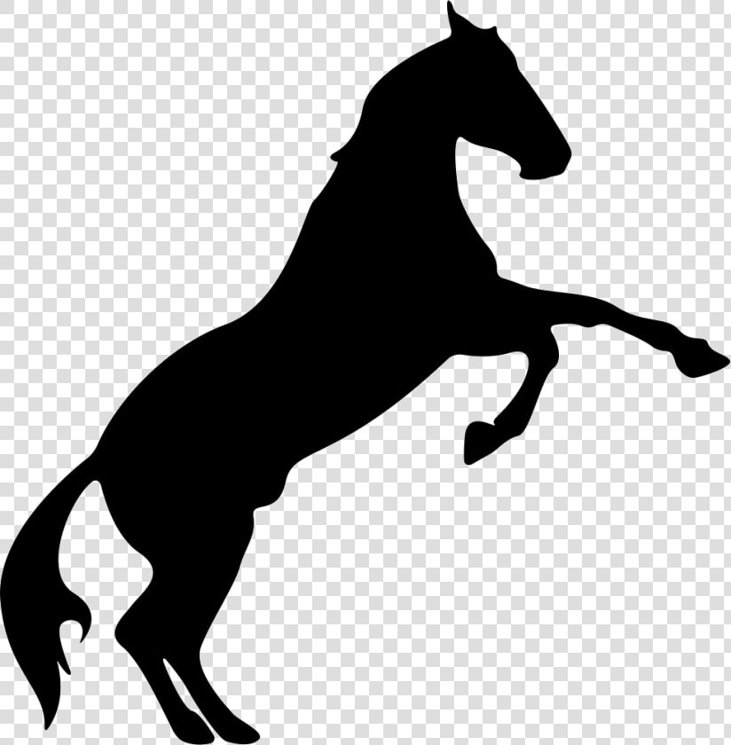 Black Horse Silhouette Rearing  HD Png DownloadTransparent PNG