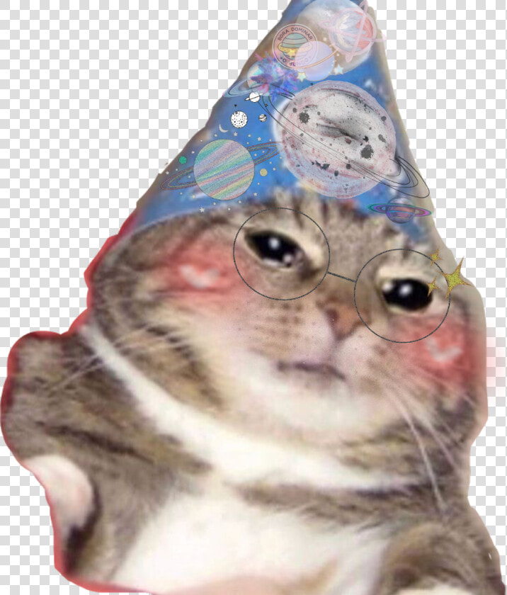  funny  kitten  hat  birthday  celebration  blush  blushy   Think This Is A Motherfucking  HD Png DownloadTransparent PNG