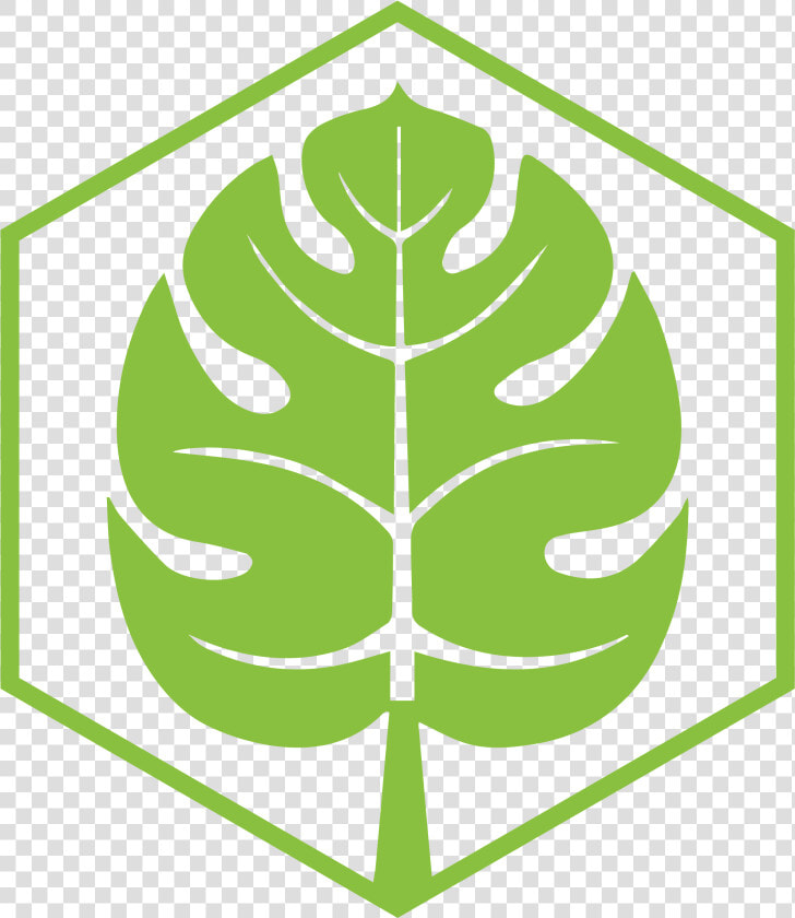 10  Of Its Flora Is Endemic   Tropical Leaf  HD Png DownloadTransparent PNG