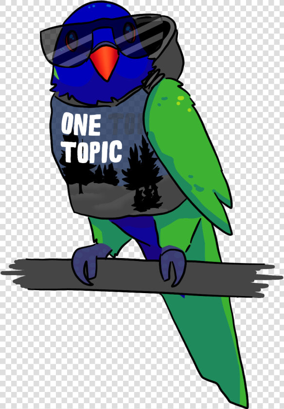 Parakeet  HD Png DownloadTransparent PNG