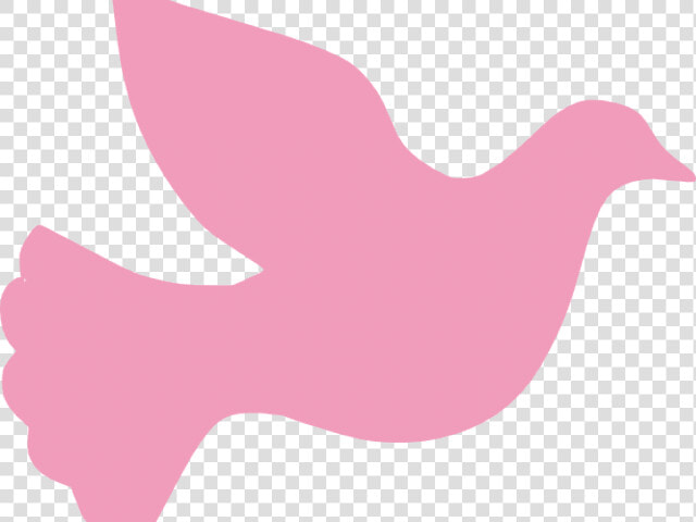 Peace Dove Clipart Vigil   Dove  HD Png DownloadTransparent PNG