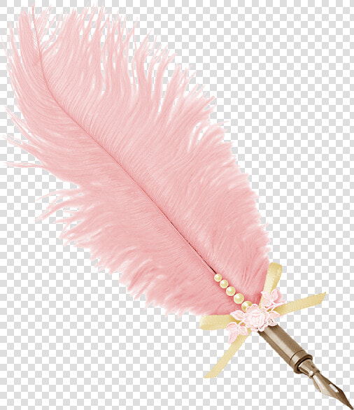 Pink Feather Png   Pink Feathers Png Free  Transparent PngTransparent PNG