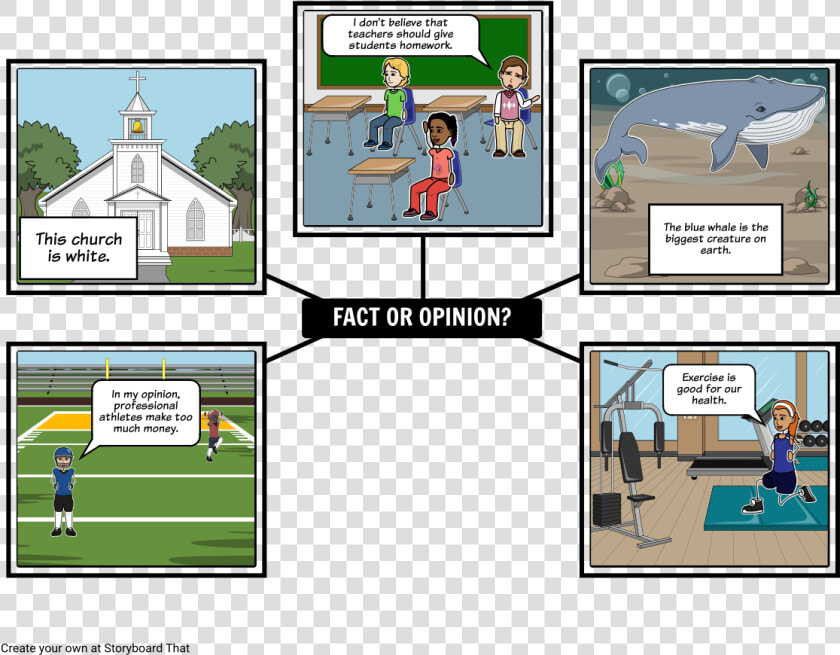 Storyboard About Fact And Opinion  HD Png DownloadTransparent PNG