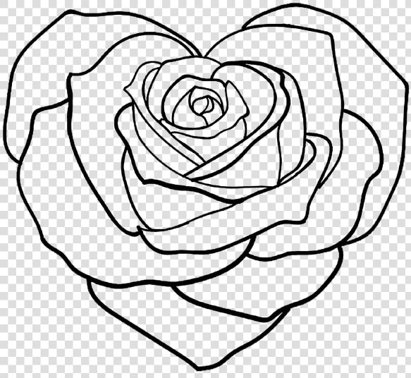 Floribunda  HD Png DownloadTransparent PNG